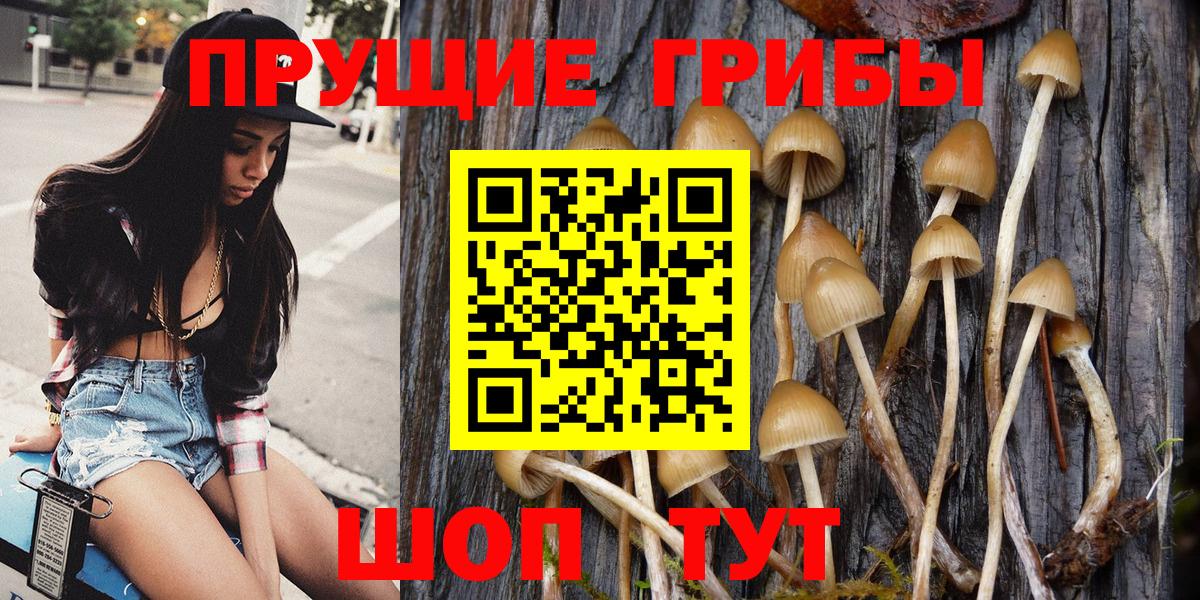 Псилоцибиновые грибы Magic Shrooms  Вход с VPN  Артём 